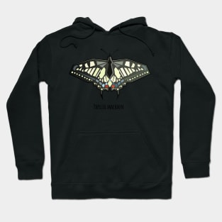 Papilio machaon swallowtail butterfly Hoodie